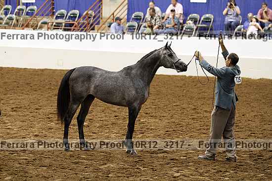 Proof 10r12_3217