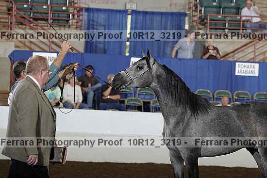 Proof 10r12_3219