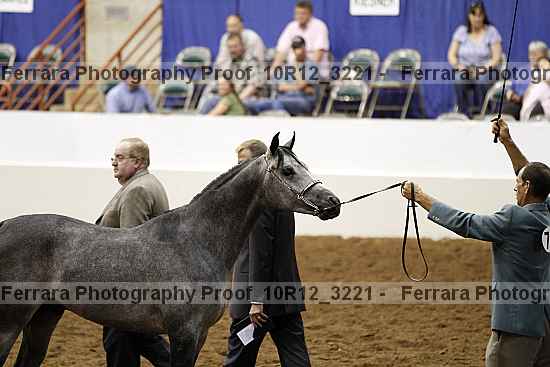 Proof 10r12_3221
