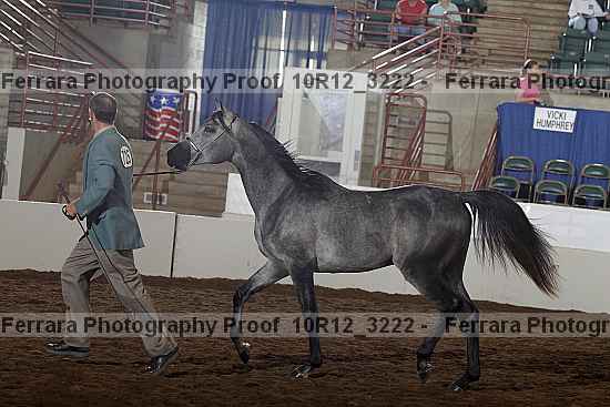 Proof 10r12_3222