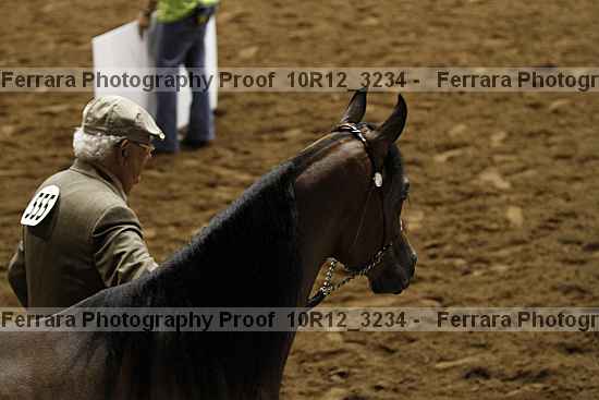 Proof 10r12_3234