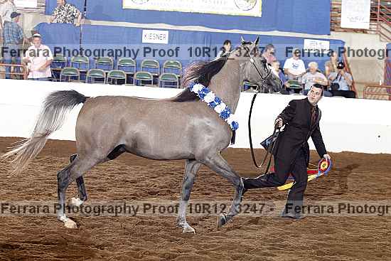 Proof 10r12_3247