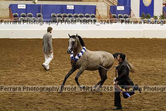 Proof 10r12_3248