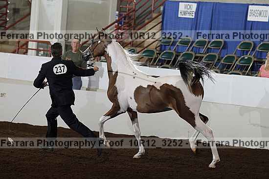 Proof 10r12_3252