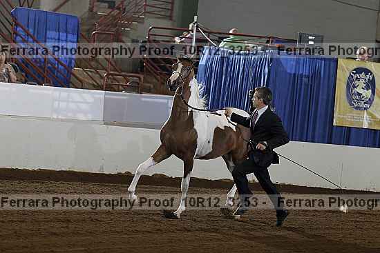Proof 10r12_3253