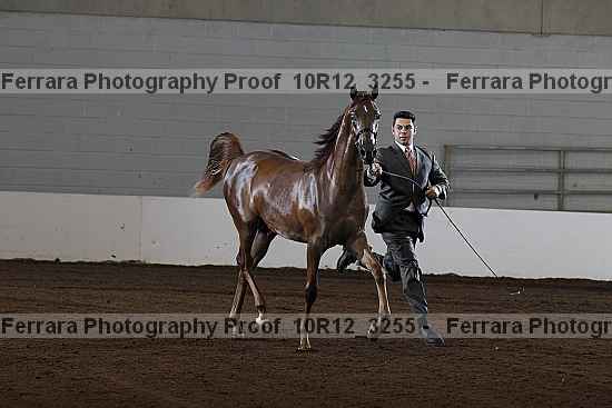 Proof 10r12_3255