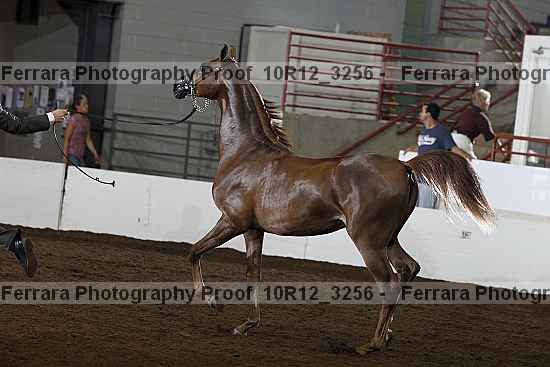 Proof 10r12_3256