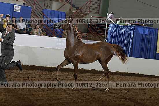 Proof 10r12_3257