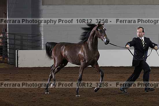 Proof 10r12_3258