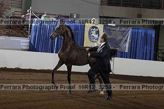 Proof 10r12_3259