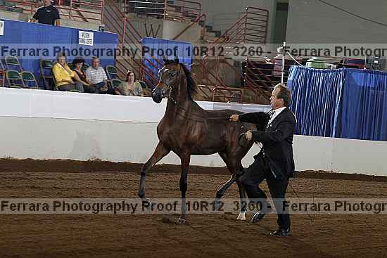 Proof 10r12_3260