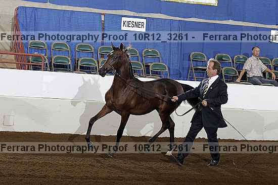 Proof 10r12_3261