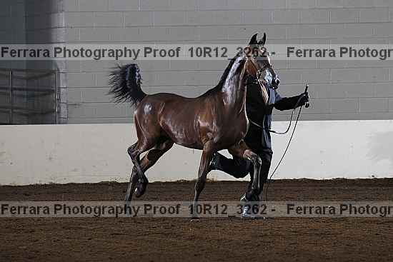 Proof 10r12_3262
