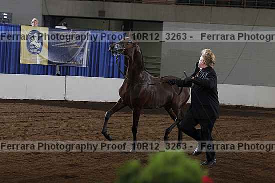 Proof 10r12_3263
