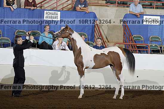 Proof 10r12_3264