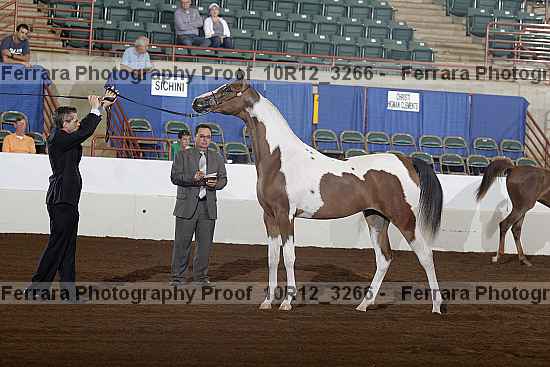 Proof 10r12_3266
