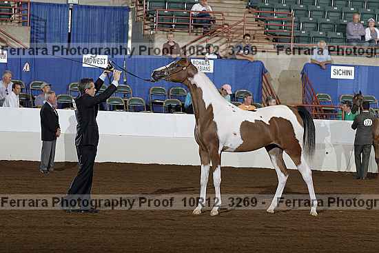 Proof 10r12_3269