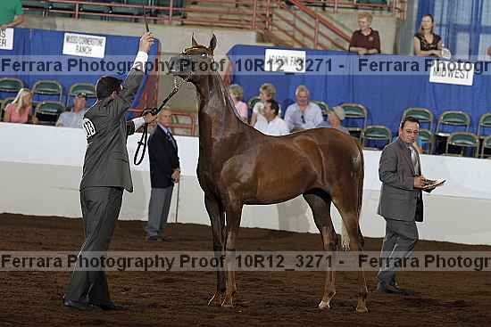 Proof 10r12_3271