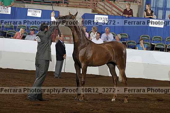 Proof 10r12_3272