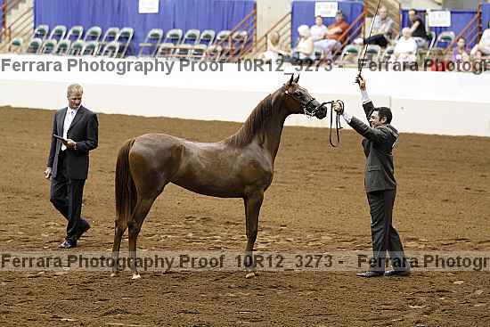 Proof 10r12_3273