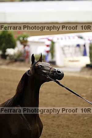 Proof 10r12_3274