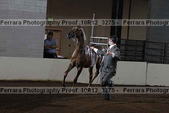 Proof 10r12_3275