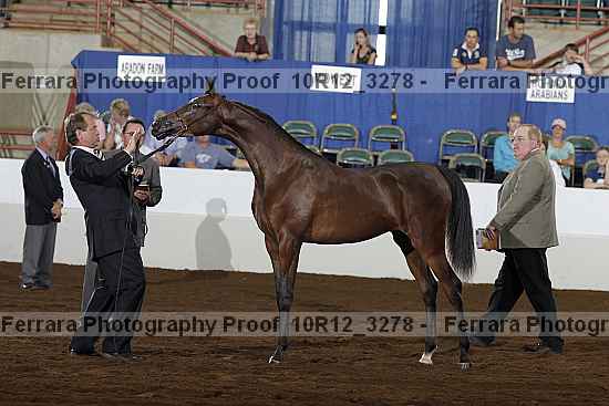 Proof 10r12_3278