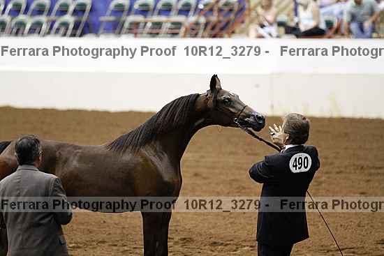 Proof 10r12_3279