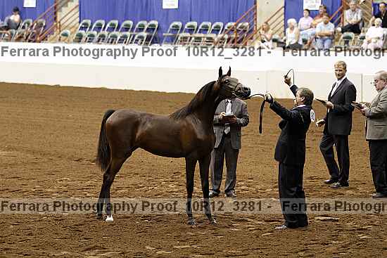Proof 10r12_3281