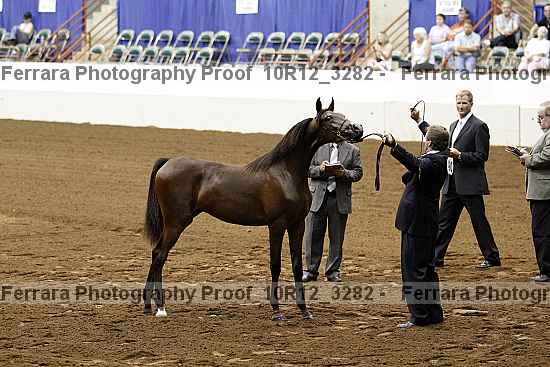 Proof 10r12_3282