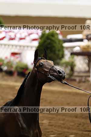 Proof 10r12_3285