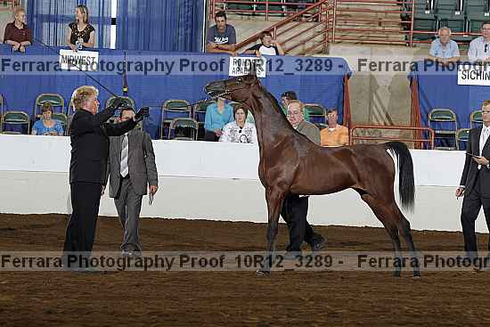 Proof 10r12_3289