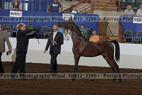 Proof 10r12_3290
