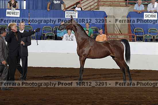Proof 10r12_3291