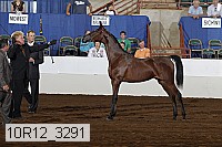 10r12_3291 proof