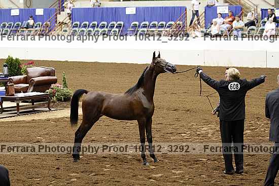 Proof 10r12_3292