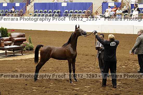Proof 10r12_3293