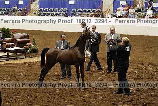 Proof 10r12_3294