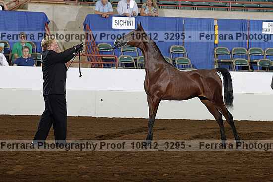 Proof 10r12_3295