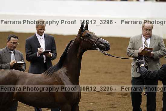 Proof 10r12_3296