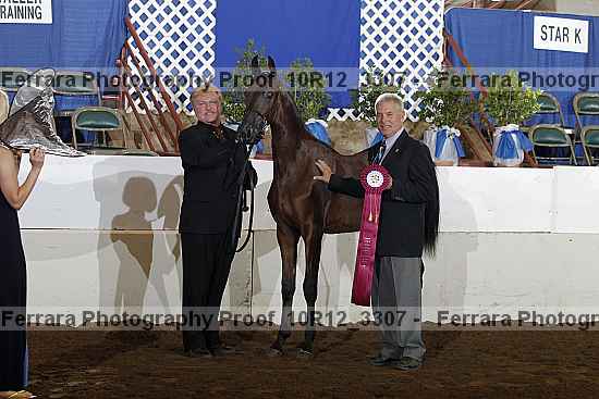 Proof 10r12_3307