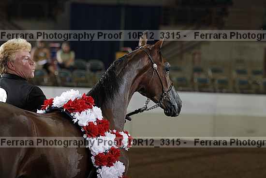 Proof 10r12_3315