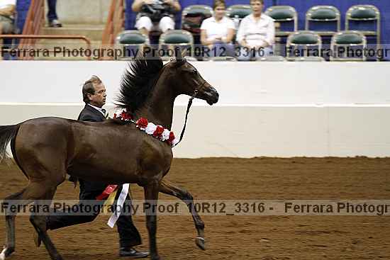 Proof 10r12_3316