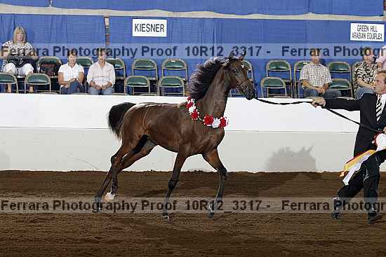 Proof 10r12_3317