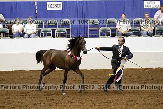 Proof 10r12_3319