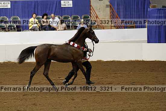 Proof 10r12_3321