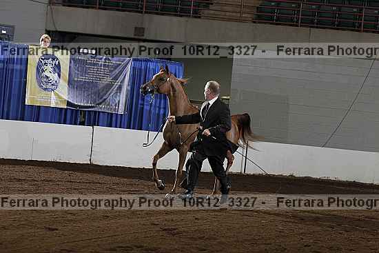 Proof 10r12_3327