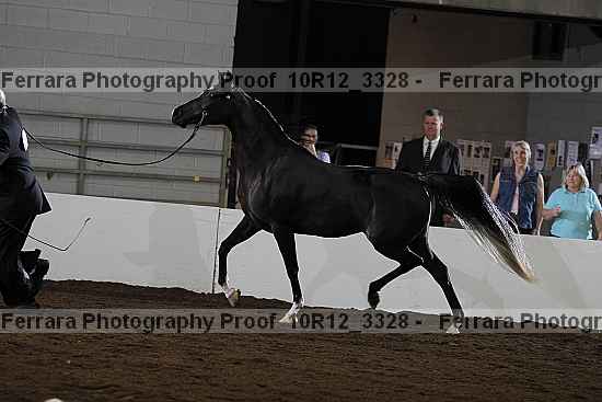 Proof 10r12_3328
