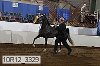 10r12_3329 proof