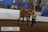 10r12_3331 proof